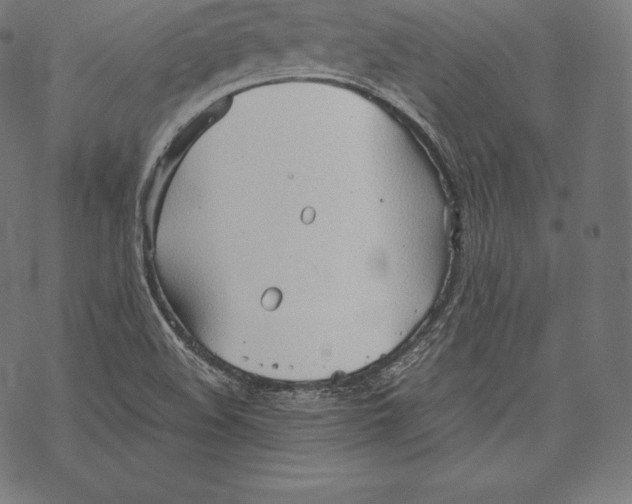 X0000067831508200605111604