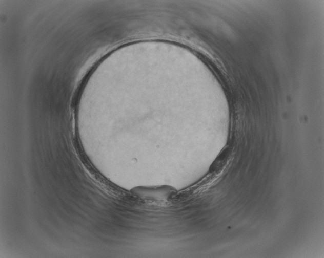 X0000067831509200605111604