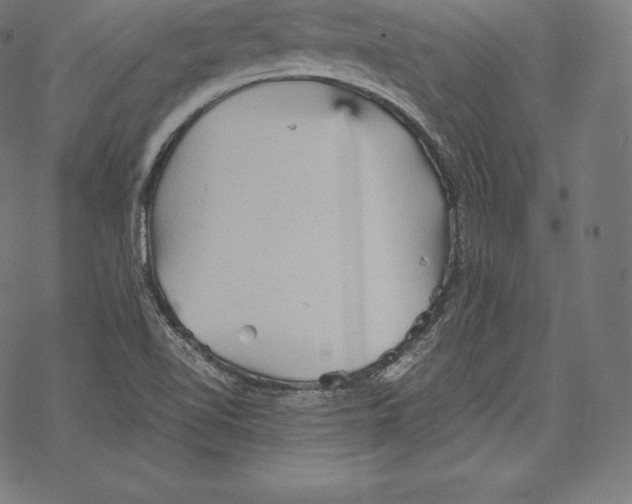 X0000067831510200605111604