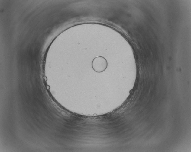 X0000067831512200605111604