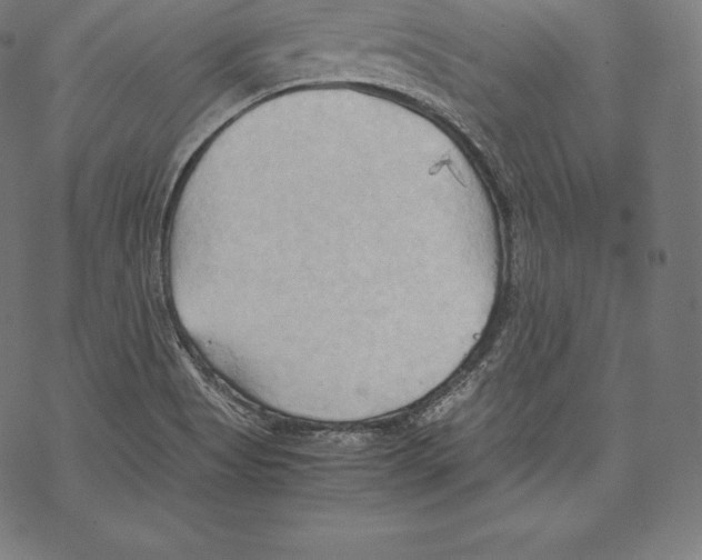 X0000067831513200605111604