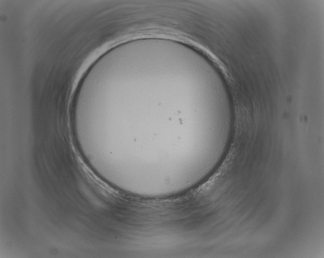 X0000067831514200605111604