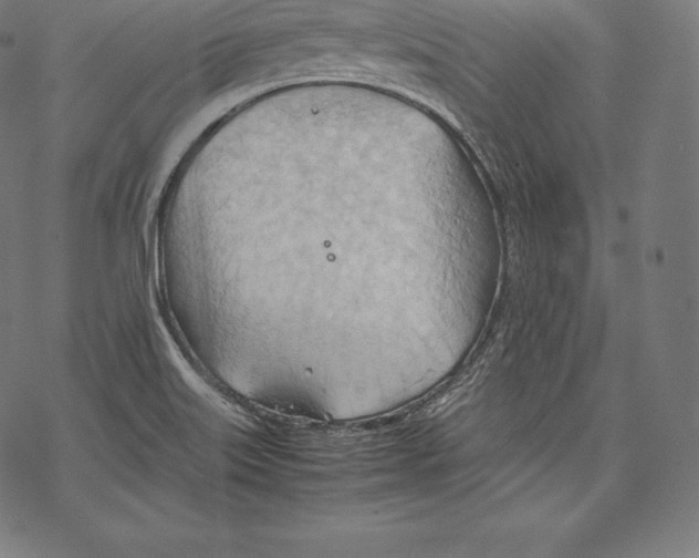 X0000067831515200605111604