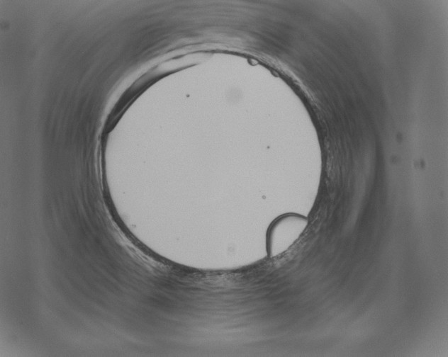 X0000067831516200605111604