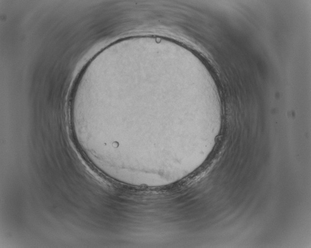 X0000067831517200605111604