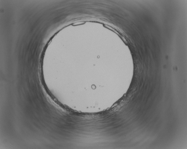 X0000067831518200605111604