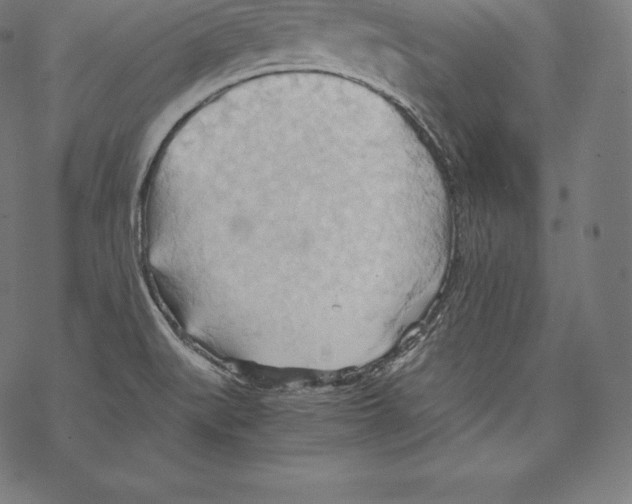 X0000067831519200605111604