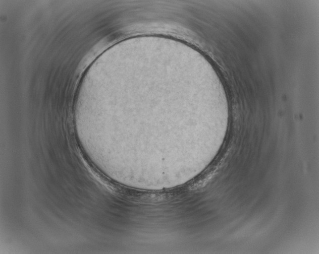 X0000067831521200605111604