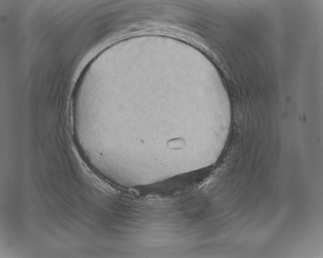 X0000067831522200605111604