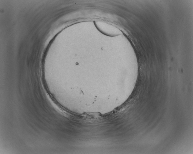 X0000067831523200605111604