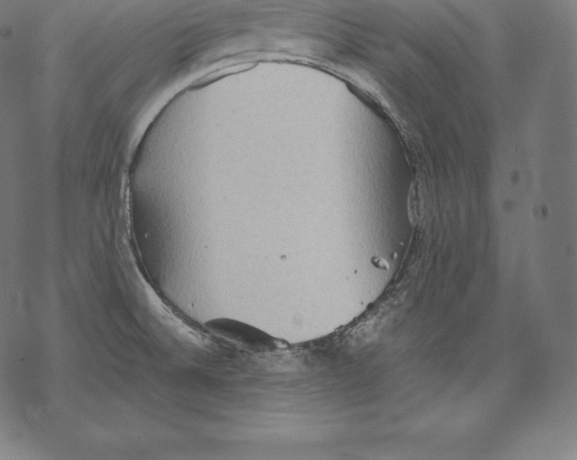 X0000067831524200605111604