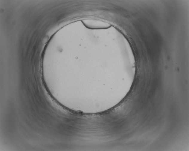 X0000067831526200605111604