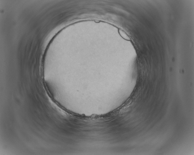 X0000067831527200605111604