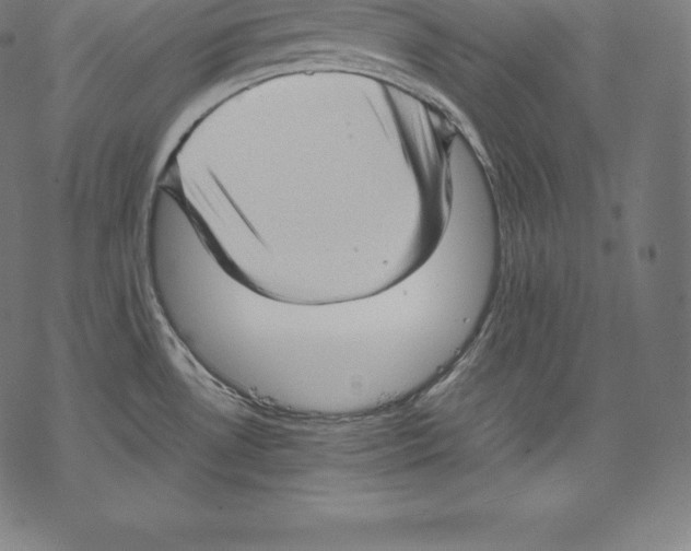 X0000067831530200605111604