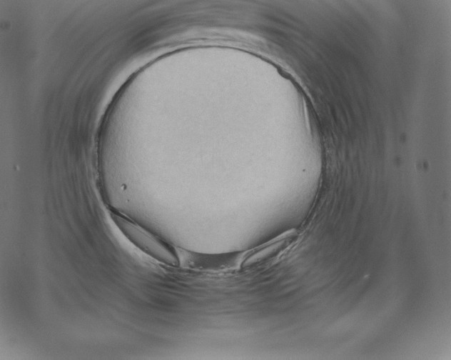 X0000067831531200605111604