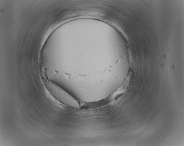 X0000067831532200605111604