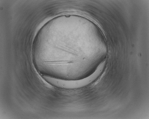 X0000067831533200605111604