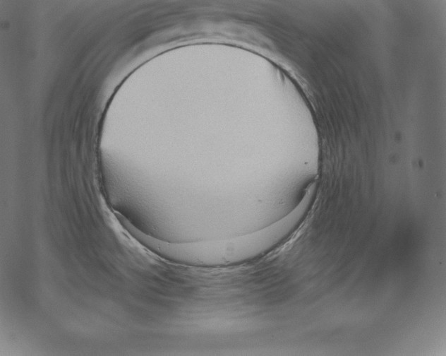 X0000067831534200605111604