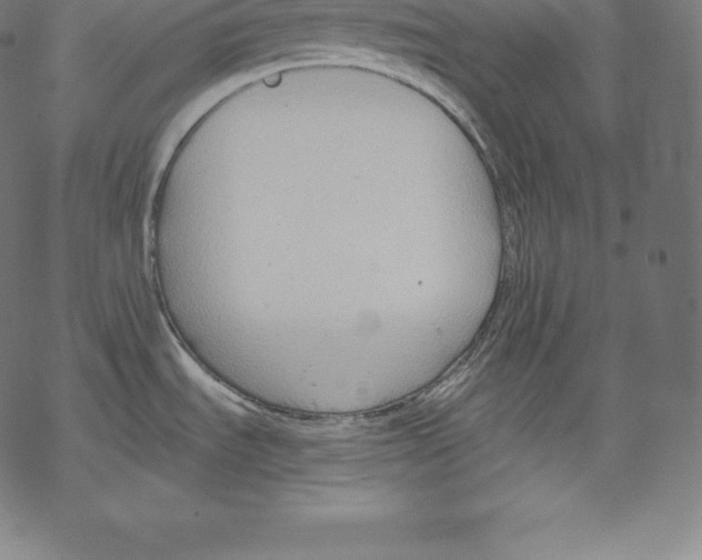 X0000067831535200605111604