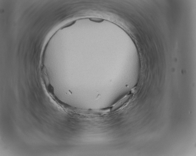 X0000067831536200605111604