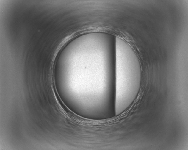 X0000067840003200604130956
