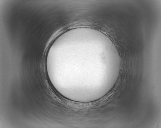 X0000067840004200604130956