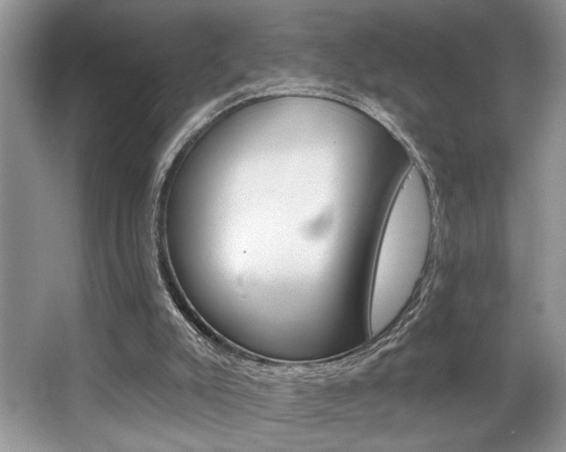 X0000067840007200604130956