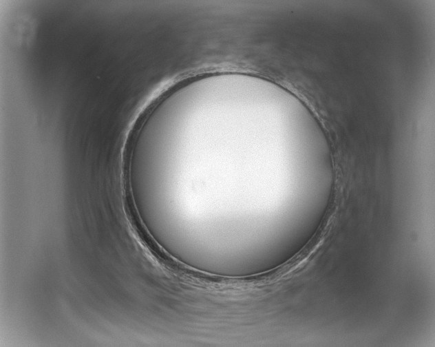 X0000067840008200604130956