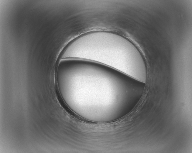 X0000067840011200604130956