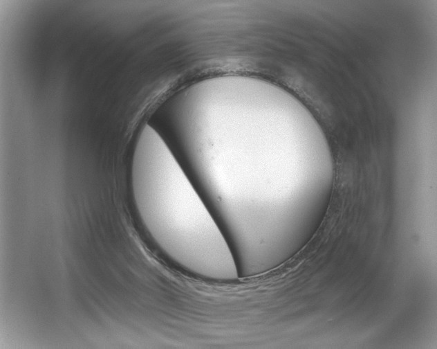 X0000067840014200604130956