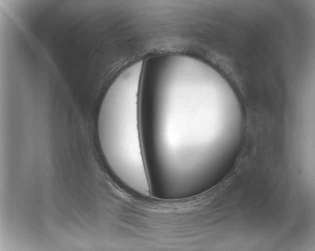 X0000067840017200604130956