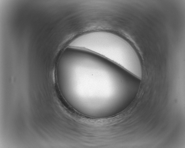 X0000067840019200604130956