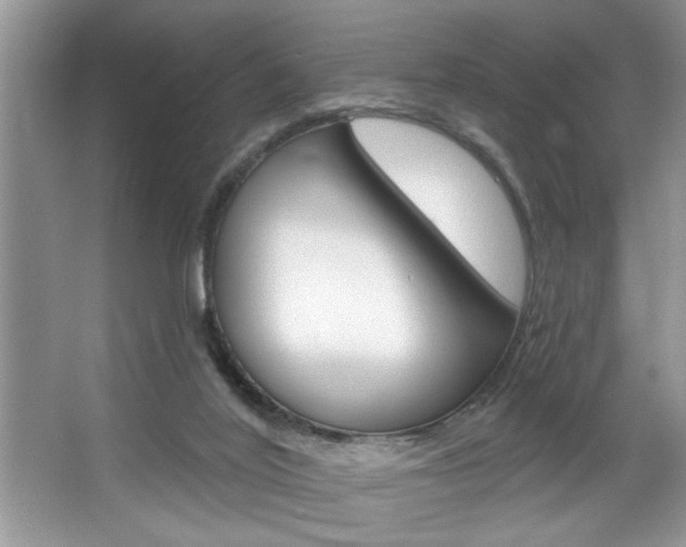 X0000067840020200604130956
