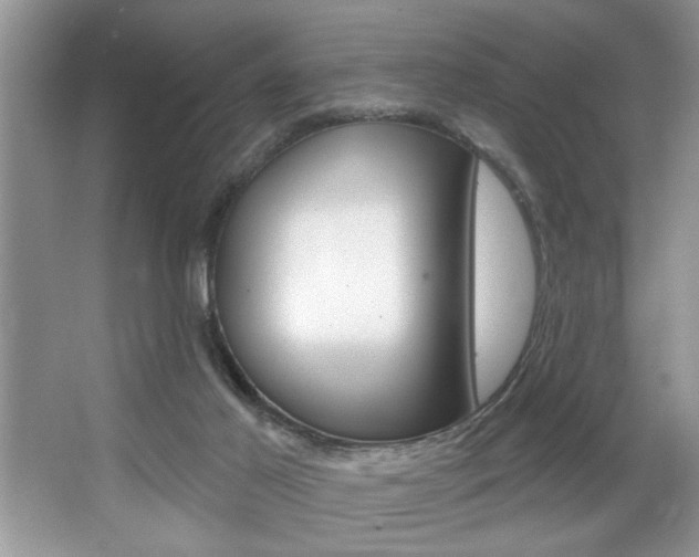 X0000067840021200604130956