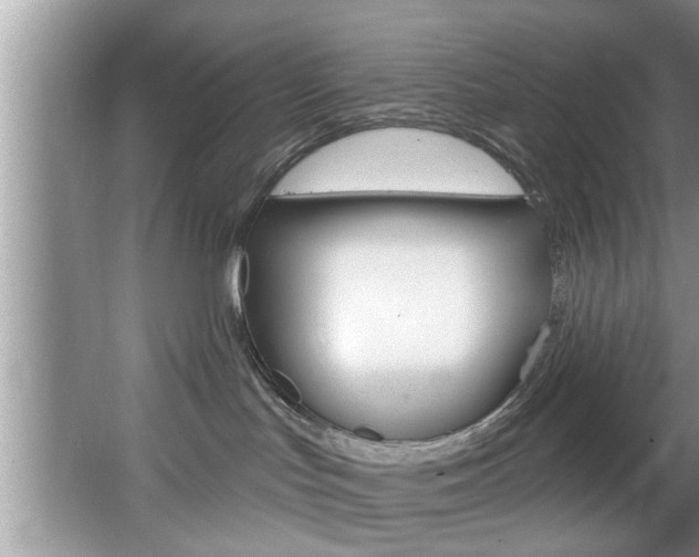 X0000067840047200604130956