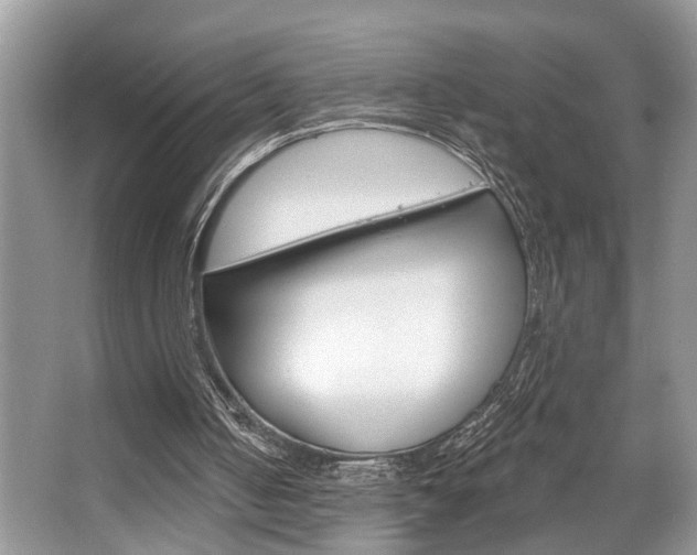 X0000067840050200604130955