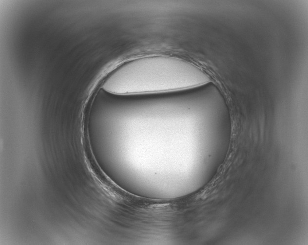 X0000067840054200604130955