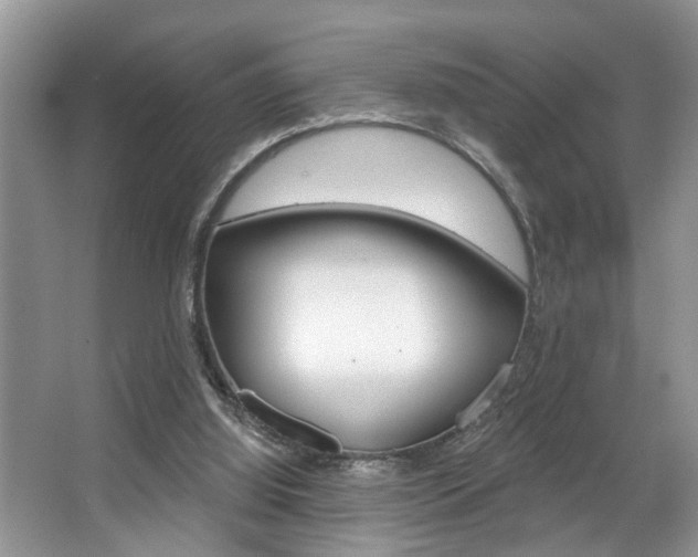 X0000067840060200604130955