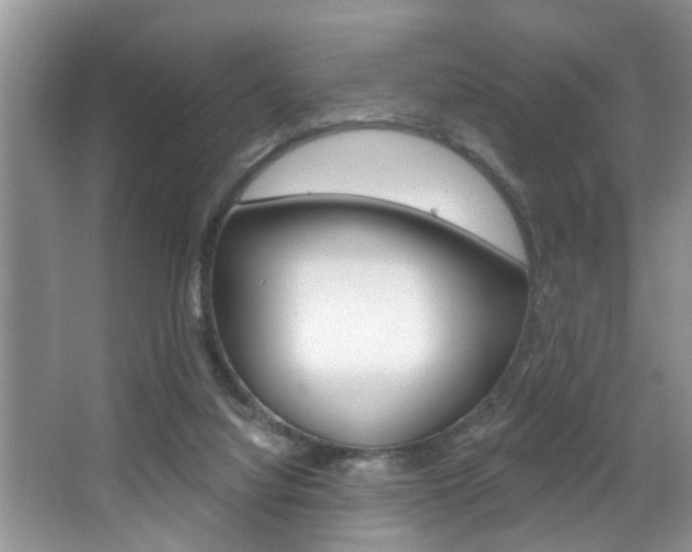 X0000067840068200604130955