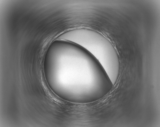 X0000067840097200604130955