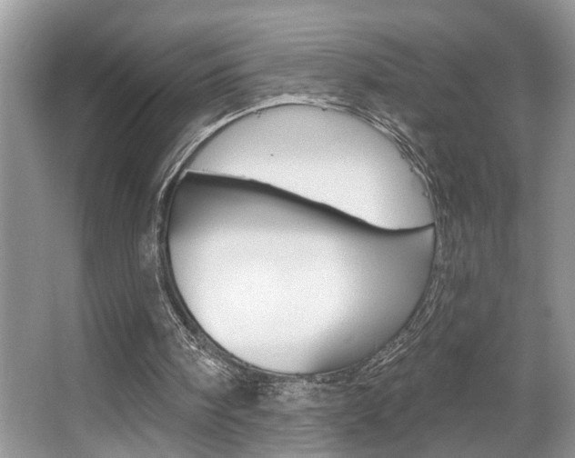 X0000067840098200604130955
