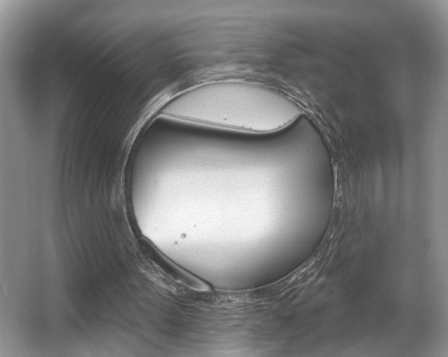 X0000067840099200604130955