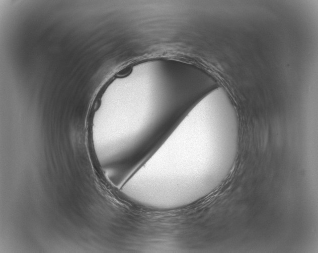 X0000067840100200604130955