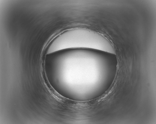 X0000067840101200604130955