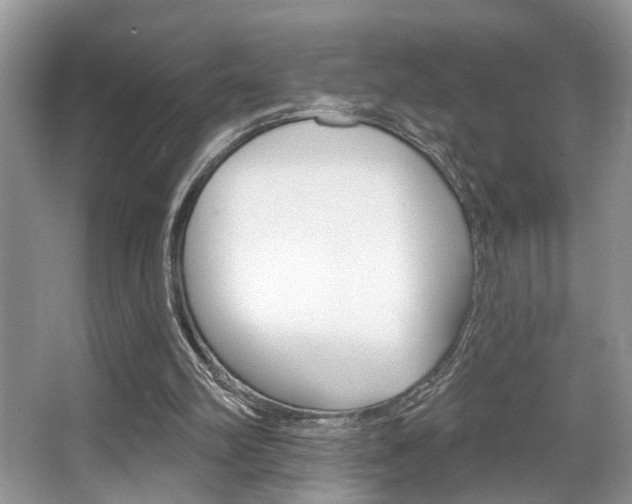X0000067840102200604130955