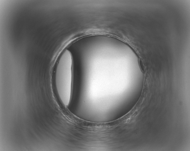 X0000067840103200604130955
