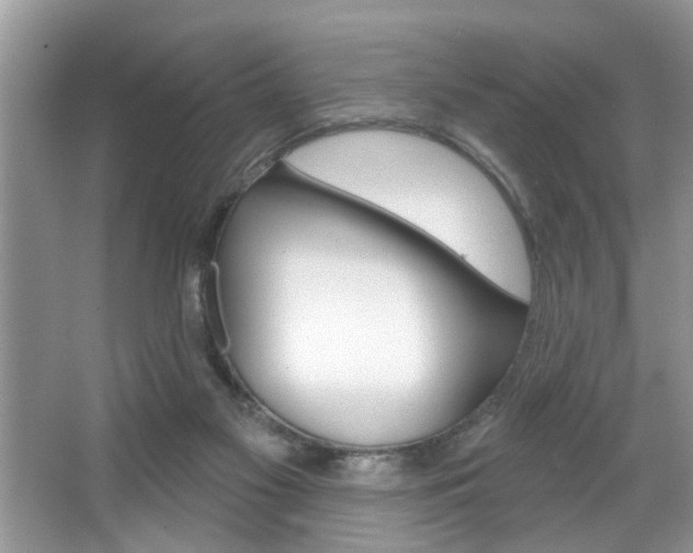 X0000067840117200604130954