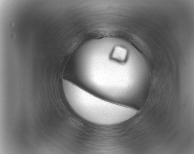 X0000067840121200604130954