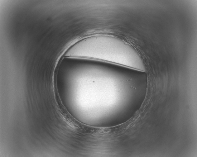 X0000067840148200604130953