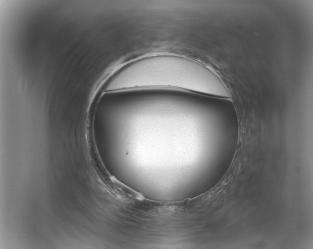 X0000067840152200604130953